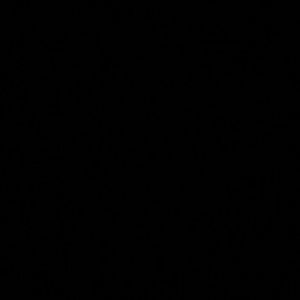 Meet your Posher, Bentley